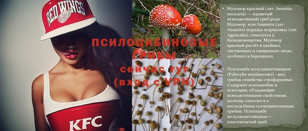 синтетический гашиш Алексин