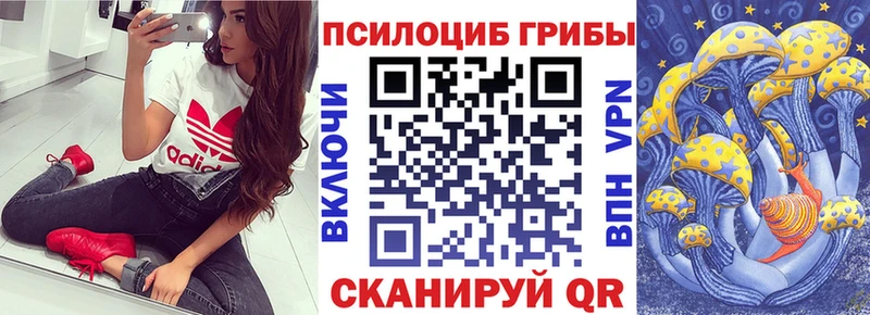 Псилоцибиновые грибы мухоморы  blacksprut рабочий сайт  Кувшиново  цена наркотик 